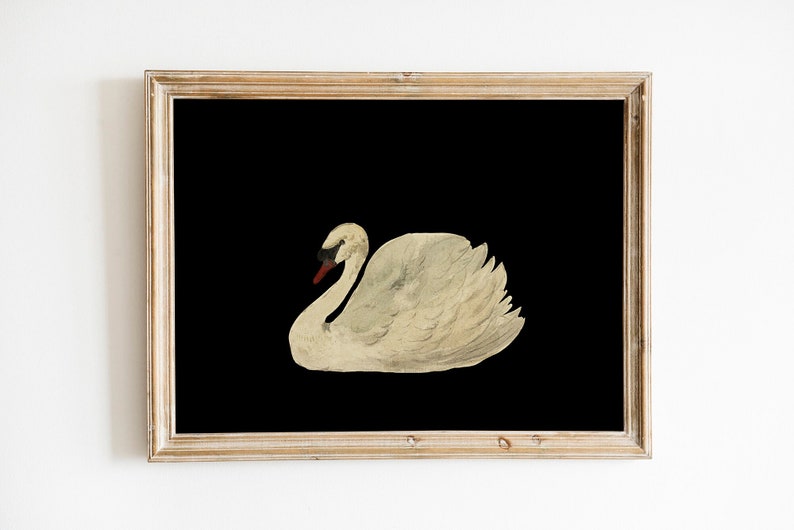Antique Swan Watercolor Painting Neutral Wall Art Large Wall Art Minimalist Vintage Swan Print Downloadable Prints image 2