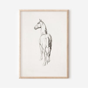 Neutral Wall Art Horse Sketch Downloadable Art | Large Wall Art Above Bed Decor | Equestrian Art Print Preppy Wall Art