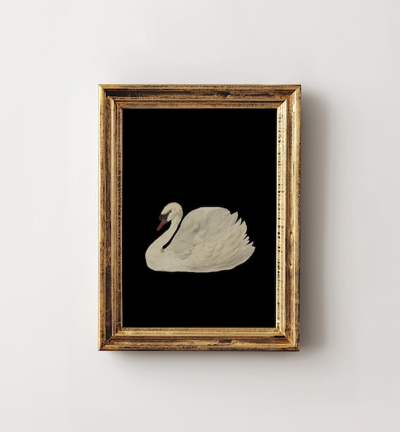 黒背景に描かれたヴィンテージの白鳥の絵画 | 印刷可能なデジタル