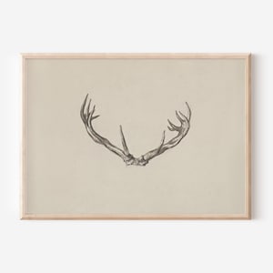 Vintage Deer Antlers Sketch Print | Downloadable Prints | PRINTABLE Wall Art | Digital Artwork | Digital Downloads | Holiday Print