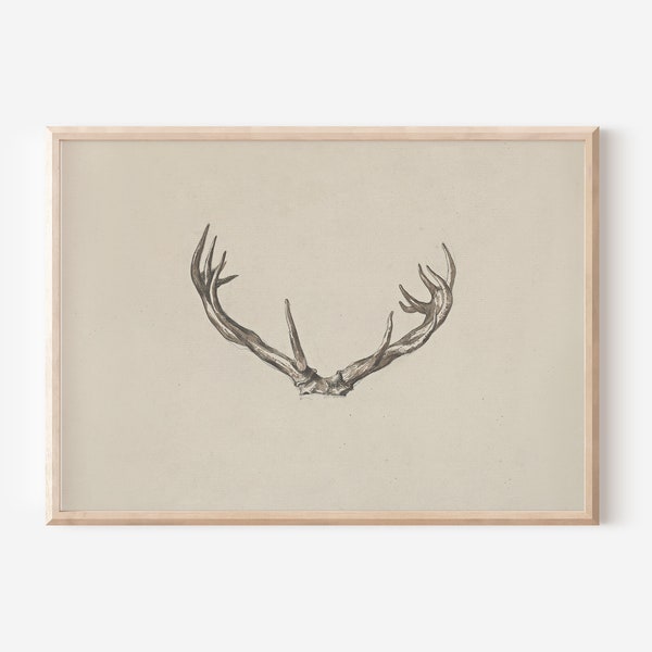Vintage Deer Antlers Sketch Print | Downloadable Prints | PRINTABLE Wall Art | Digital Artwork | Digital Downloads | Holiday Print