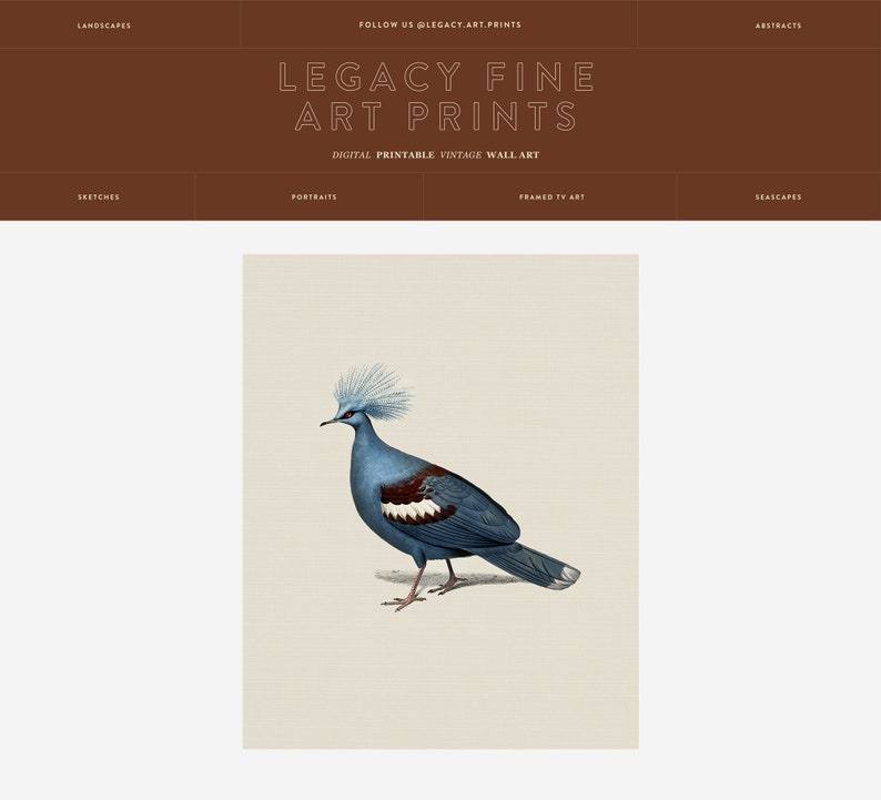 Puede incluir: Una ilustraci&oacute;n vintage de un p&aacute;jaro azul y blanco con una cresta roja. El p&aacute;jaro est&aacute; representado en un estilo realista con plumas detalladas y una postura natural.