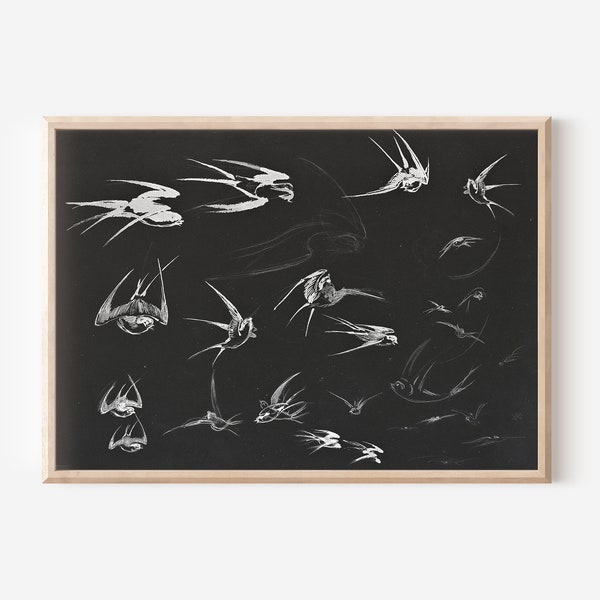 Vintage Bird Sketch Art Print Japanese Wall Art | Barn Swallow Bird Wall Art Farmhouse Wall Art | Downloadable Art