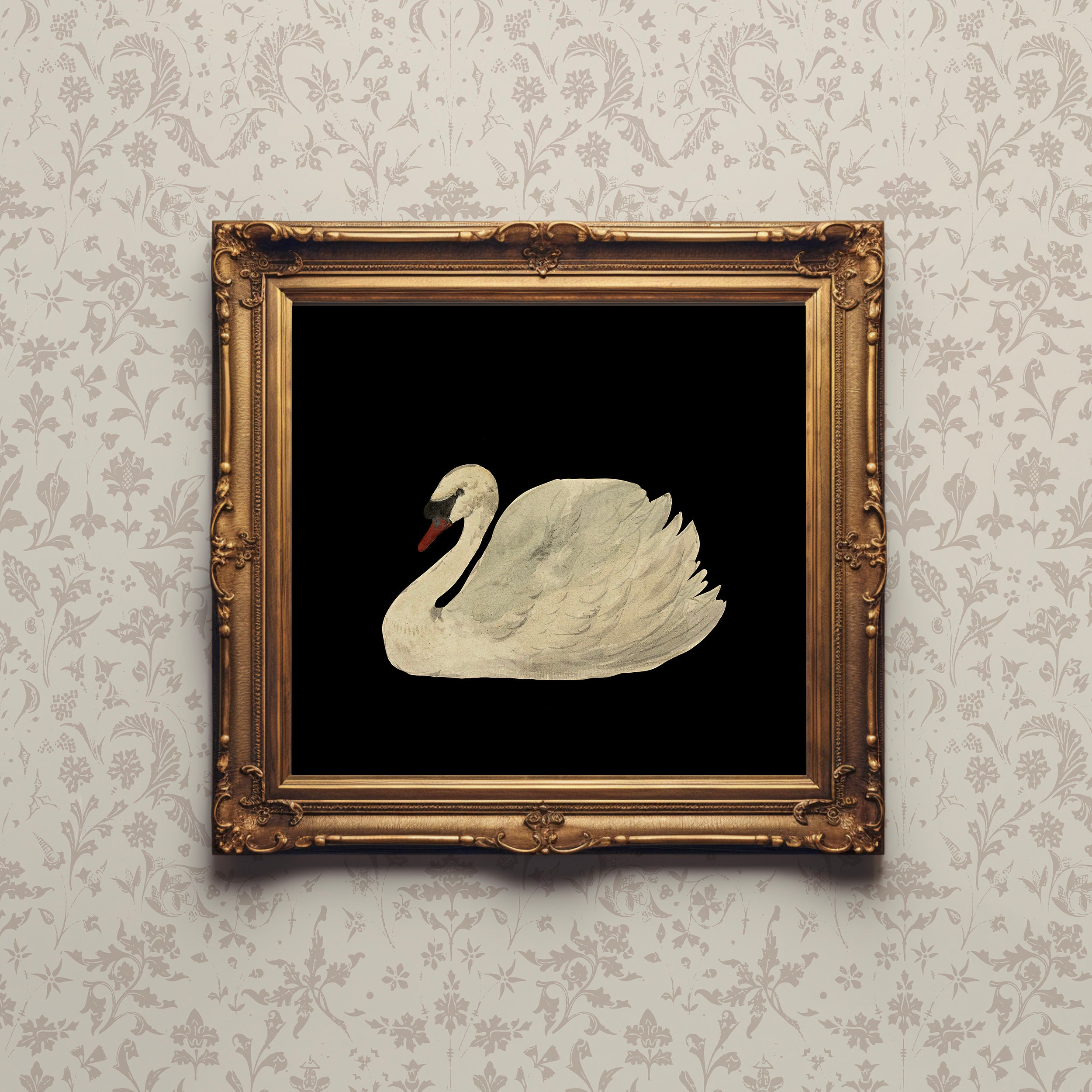 黒背景に描かれたヴィンテージの白鳥の絵画 | 印刷可能なデジタル