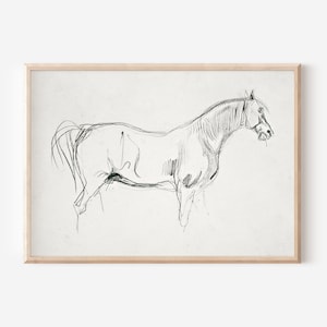 Vintage Horse Sketch Downloadable Art | Neutral Wall Art | Equestrian Cottage Core Decor | Large Wall Art