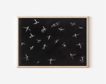 May include: A framed art print featuring a black background with numerous white, sketch-like illustrations of birds in flight. The birds are depicted in various positions, creating a dynamic and airy composition. The frame is a light wood color.