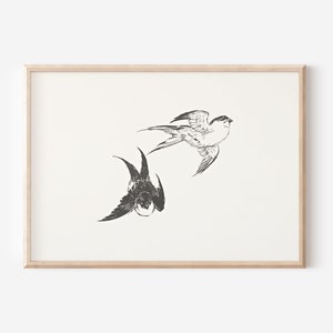 Op de afbeelding: Een zwart-witte illustratie van twee vogels in de vlucht. De vogels zijn gestileerd en hebben lange, puntige vleugels. De vogels vliegen in tegengestelde richtingen.