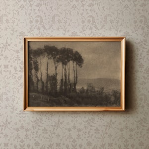 May include: A framed black and white photograph of a group of trees in a woodland setting. The trees are silhouetted against a cloudy sky. The photograph is in a simple wooden frame.