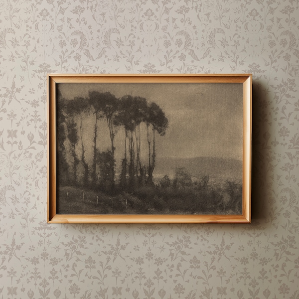 Vintage Archival Landscape Photograph | Large Wall Art Downloadable Print | Rustic Art Print Forest Wall Hanging