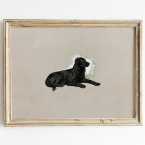 Vintage Black Labrador Dog Wall Art | Antique Dog Painting Digital Prints | Dog Portrait Sketch | Minimalist Farmhouse Decor