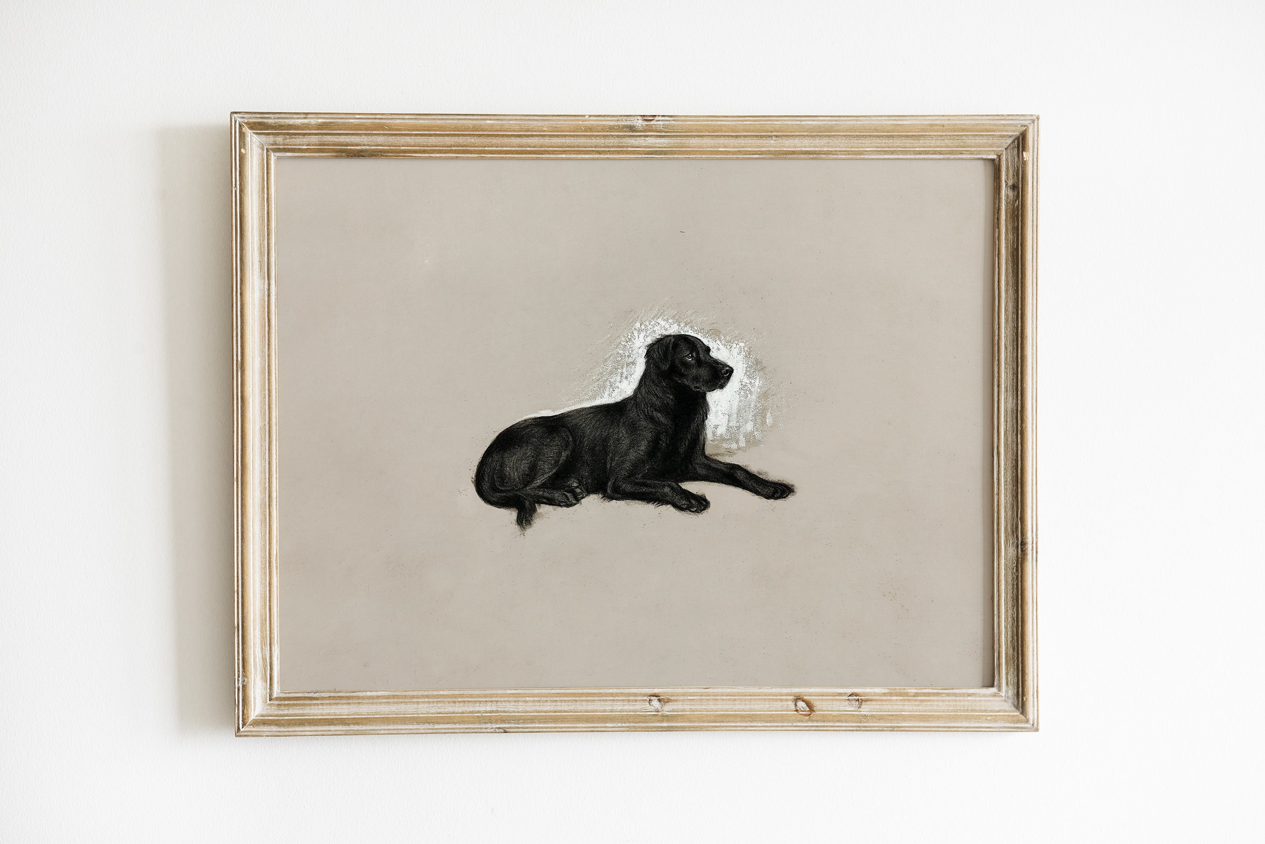 Vintage Black Labrador Dog Wall Art | Antique Dog Painting Digital Prints | Dog Portrait Sketch | Minimalist Farmhouse Decor