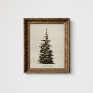 Neutral Christmas Tree Downloadable Art, Vintage Rustic Holiday Decor, Christmas Wall Decor, Large Winter Print