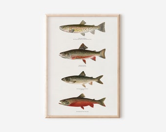 Fish Art Print Downloadable Prints | Vintage Trout Nature Wall Art | Fishing Decor Fishing Gift for Men Lake House Decor