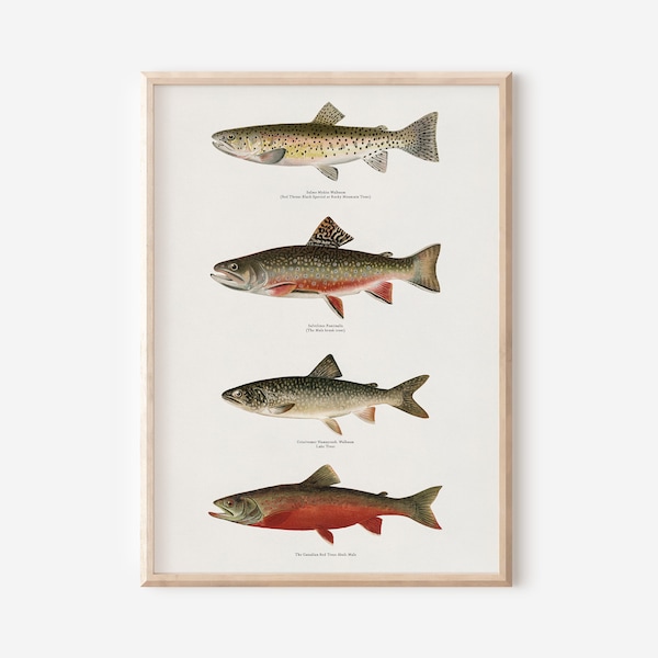 Impression d'art poisson Impressions téléchargeables | Art mural nature truite vintage | Décoration de pêche Cadeau de pêche pour homme Décoration de maison sur le lac