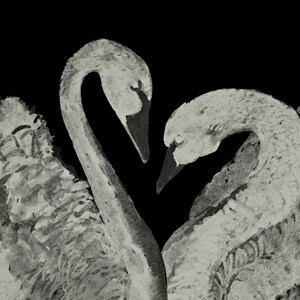 K&ouml;nnte beinhalten: Graustufen-Aquarellmalerei von zwei Schw&auml;nen, deren H&auml;lse ein Herz formen, vor schwarzem Hintergrund. Die Schw&auml;ne sind detailliert dargestellt, mit dunklen Schn&auml;beln und strukturierten Federn, was ein romantisches Bild ergibt.