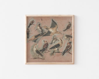 May include: A framed print of a vintage illustration featuring a group of birds in various poses on a light brown background. The birds are depicted in shades of brown, white, and black.