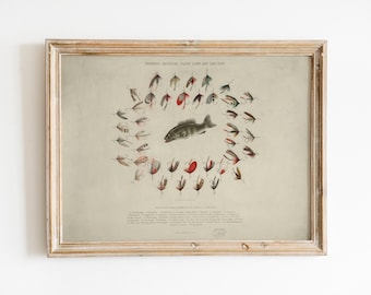 Vintage Fly Fishing Wall Art | Outdoor Sports Decor with Black Bass and Lake Flies | Downloadable Fishing Art | Fishing Lover Gift Idea
