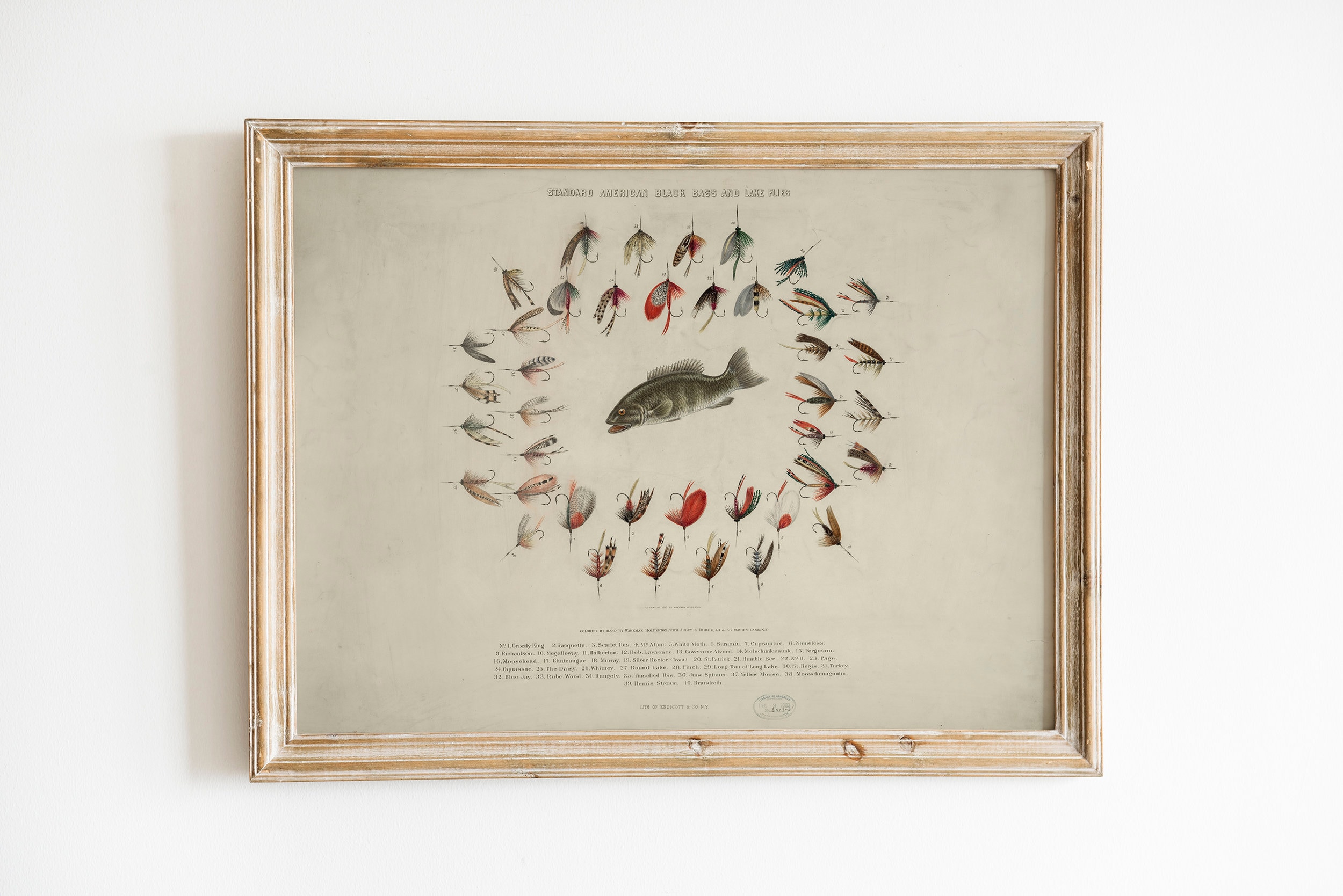 ヴィンテージフライフィッシングウォールアート | ブラックバスと