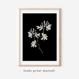 May include: A black and white minimalist art print featuring a stylized floral design. The print depicts a single stem with several delicate flowers and leaves.