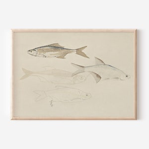 Vintage Fish Sketch Fish Painting Downloadable Art PRINTABLE PRINTABLE Wall Art Digital Prints Farmhouse Decor Digital PRINTABLE image 1
