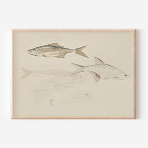 Printable Vintage Fish Sketch Wall Art, Neutral Rustic Office Decor Download