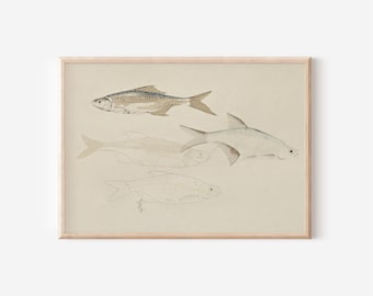 Printable Vintage Fish Sketch Wall Art, Neutral Rustic Office Decor Download