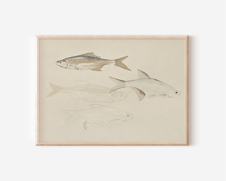 Vintage Fish Sketch Fish Painting Downloadable Art PRINTABLE PRINTABLE Wall Art Digital Prints Farmhouse Decor Digital PRINTABLE image 1