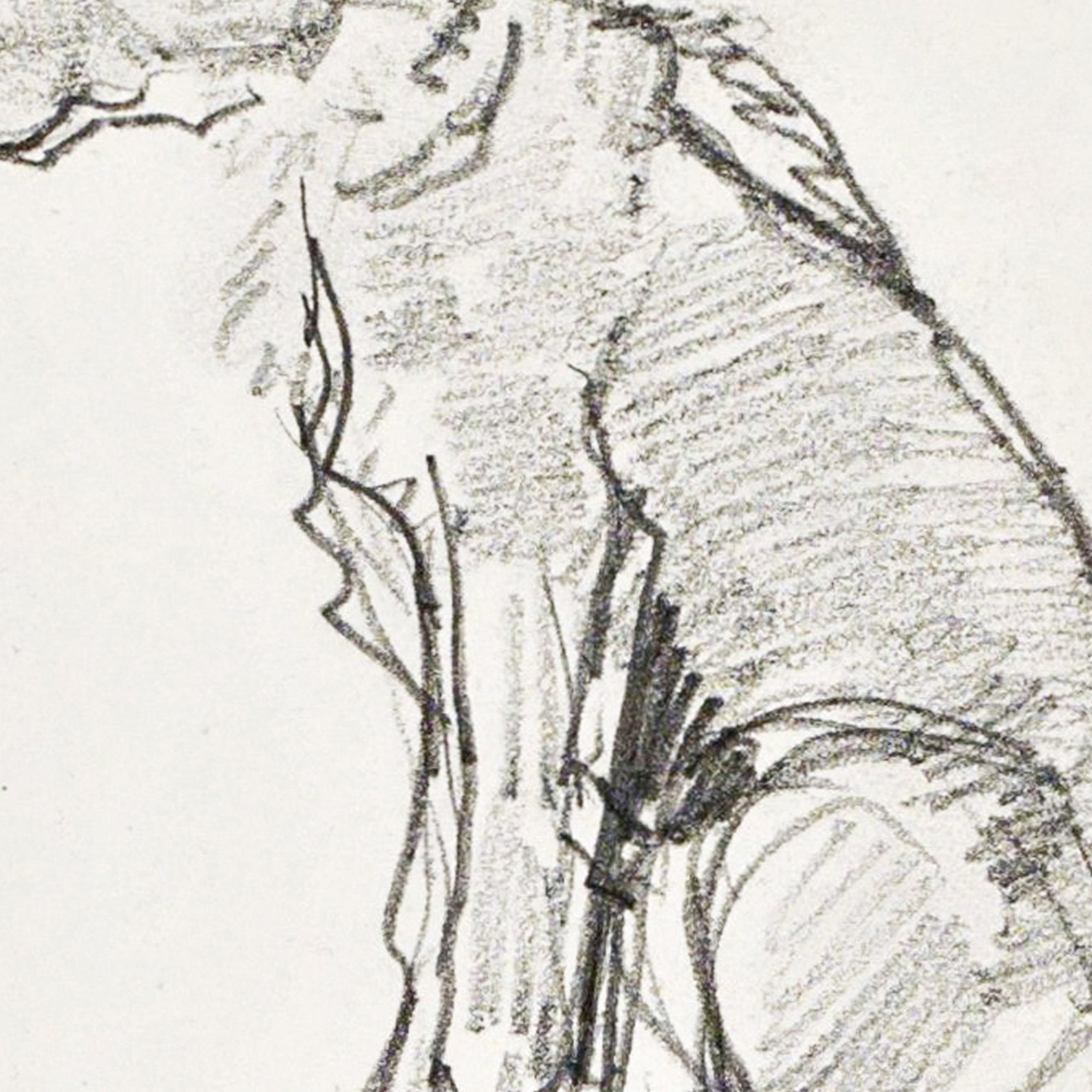 Vintage Dog Sketch Print Downloadable Prints PRINTABLE Etsy