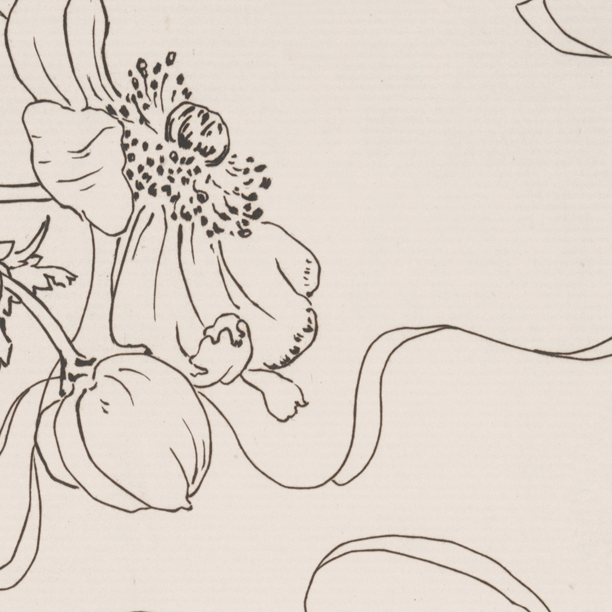 Vintage Floral PRINTABLE Artwork Downloadable Print Etsy UK