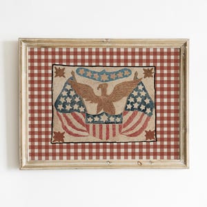 Puede incluir: Obra de arte patri&oacute;tica enmarcada con un &aacute;guila, banderas y estrellas. La obra est&aacute; sobre un fondo a cuadros rojos y blancos dentro de un marco de madera. El &aacute;guila es marr&oacute;n y las banderas muestran rayas rojas y blancas y estrellas azules.