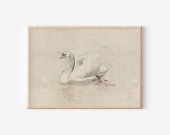 Antique Swan Sketch | Downloadable Prints | Print Yourself | Digital Prints | 19th Century Art | Muted Wall Decor