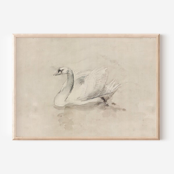 Antique Swan Sketch | Downloadable Prints | Print Yourself | Digital Prints | 19th Century Art | Muted Wall Decor