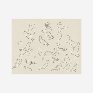 May include: A black and white line drawing of multiple pigeons in various poses, including flying, perched, and in mid-flight. The drawing is on a light beige background.