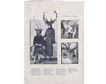 deerest | A6 greeting card | original collage lesbian reindeer christmas card