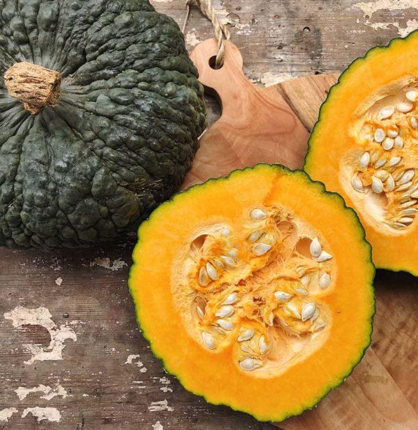 10 semi di zucca MARINA DI CHIOGGIA - semi freschi