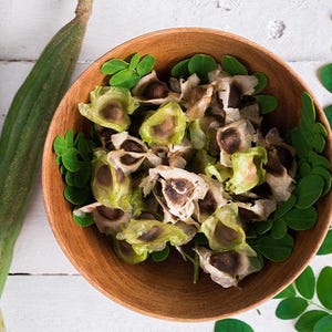 10 graines de MORINGA OLEIFERA - arbre miracle