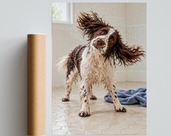 English Springer Spaniel Wet Dog Shaking Print, Funny Dog Poster, Bathroom Wall Art, Dog Lover Gift