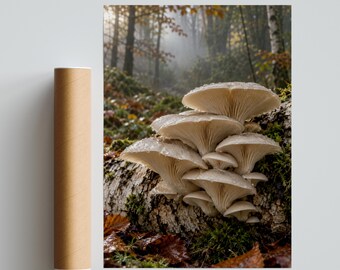 Lámina decorativa de setas ostra, fotografía de bosque otoñal brumoso, póster de naturaleza boscosa, decoración de musgo