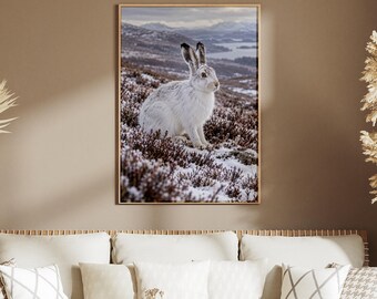 Mountain Hare Poster, Winter Highland Wildlife Photography Print, Snowy Heather Hillside Wall Art