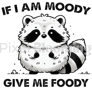 Give me foody PNG | If im Moody Give me | Racoon Sayings Tee ,Funny racoon sayings, Not like other girls, Cute racoon shirts, Vintage animal