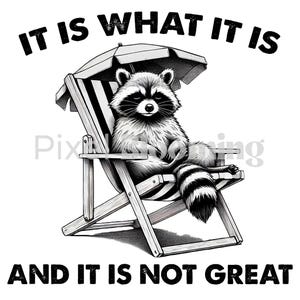 It is what it is png | Cute Raccoon PNG | Trash Panda Png | Raccoon Shirt Png | Raccoon shirt design | Raccoon png | sarcastic png | trendy