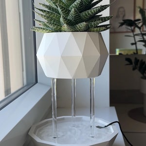 Op de afbeelding: Een witte geometrische plantenpot met een vetplant erin staat op een witte geometrische waterfontein met doorzichtige buizen. De fontein is aangesloten en er stroomt water door de buizen.