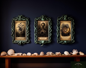 May include: Three framed vintage botanical prints of sea creatures, including a seahorse, octopus, and nautilus shell, hang on a dark blue wall. The frames are ornate, with a green, textured finish. A wooden shelf below displays various seashells and coral.