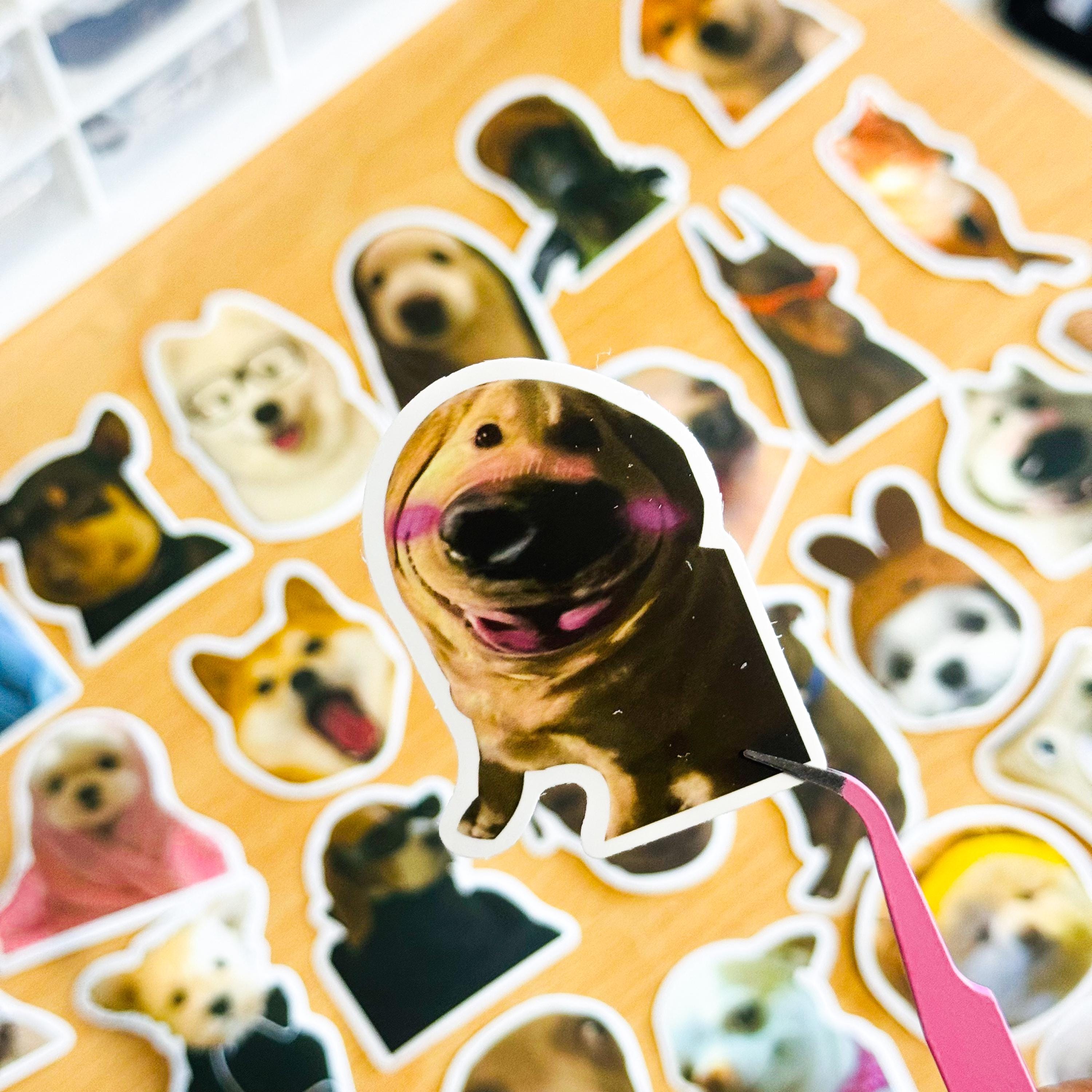 Dog Stickers For Teens Boys Girls Kids, Cute Vinyl Waterproof Stickers For Laptop Flasks Water Bottle Cup Bike Phone Notebook Scrapbook Tablet Car...