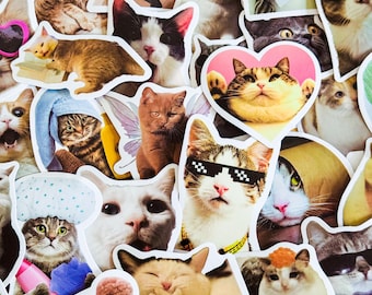 100 Pcs Cat Meme Stickers, Funny Cat sticker, Funny Waterproof Stickers Decals For Motorcycle, Laptop, Luggage, Water Bottle, Phone case
