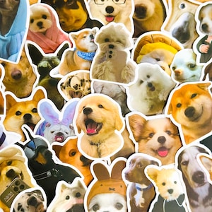 50 pegatinas de perros adorables, divertidas pegatinas impermeables para motocicletas, portátiles, equipaje, botellas de agua y fundas de teléfono