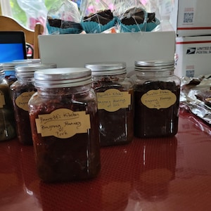 Bagoong Alamang