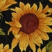 ShadySpringQuilts