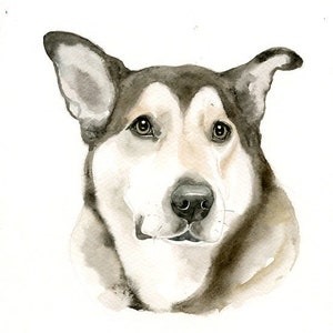 RITRATTO DEL tuo animale DOMESTICO Acquerello su carta 20x25cm