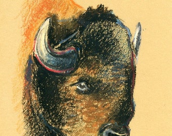 AMERICAN BISON Animal art Original pastel oil on sand drawing paper 11X8inch